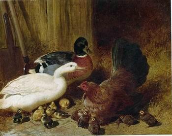 unknow artist Poultry 085 oil painting image